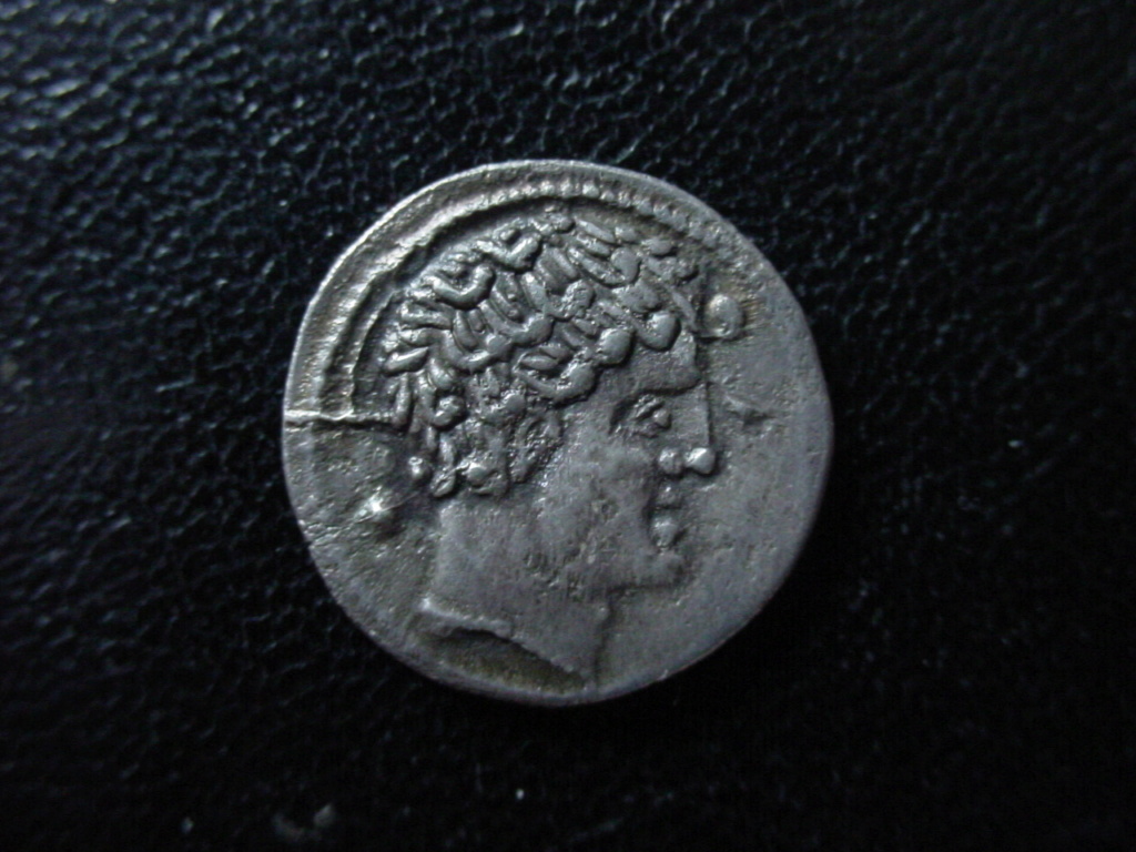 Los denarios de Arekoratas y su clasificación Dsc00615