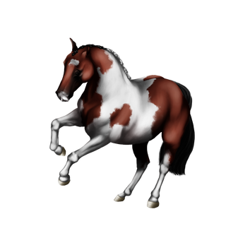 Paint Horse ▬ Tobiano Baie [ Capricorne | Terre ] [700 Ares] Baie_t10