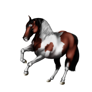 Bouuh - #VENDU# Paint Horse ▬ Tobiano Baie [ Lion | Feu ] [700 Ares] Baie_t13