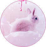 [LAPIN] [CHAT] [ROSE] Avatar Rond [9] Lapin110