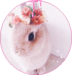 [LAPIN] [CHAT] [ROSE] Avatar Rond [9] Lapin210