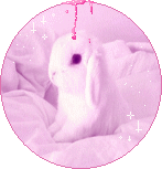 [LAPIN] [CHAT] [ROSE] Avatar Rond [9] Lapin310