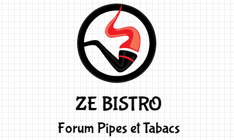 Un logo pour le forum - Page 23 Logo_z11