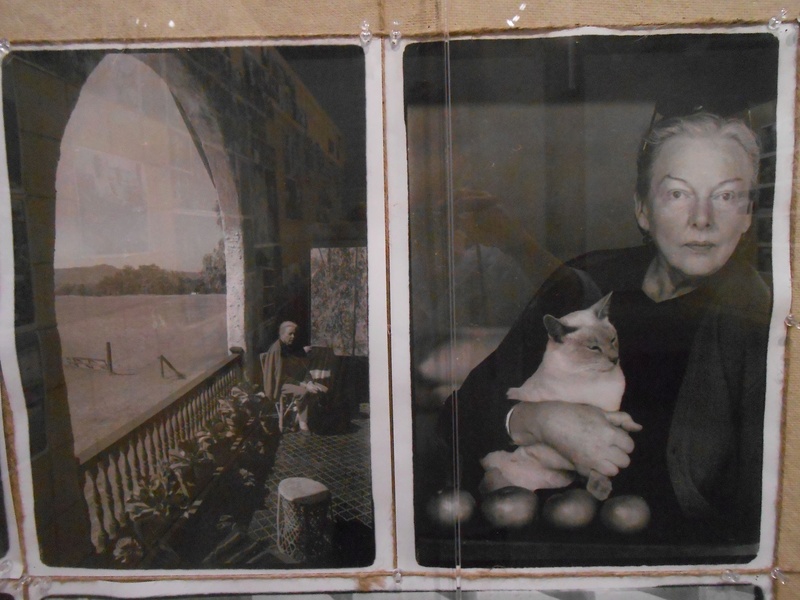 Rétrospective Annie Leibovitz 1970-1983. Arles 2017 Dscn2282