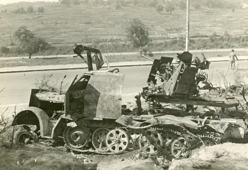 Sherman m4a3 76 mm Lt Zagrodski Sdkfz_10