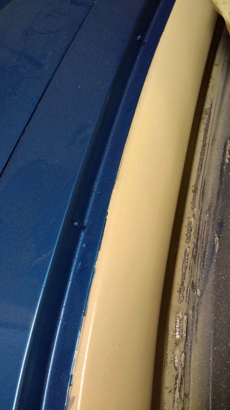 What color and what kind of paint for package tray moulding ? Neutra10