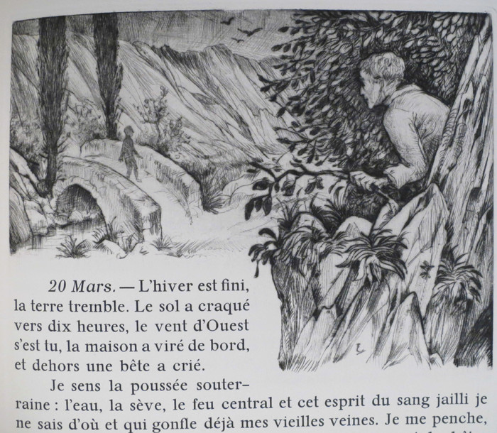 ruralité - Henri Bosco - Page 2 Ane_cu13