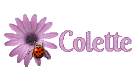 Le Blob Colett10