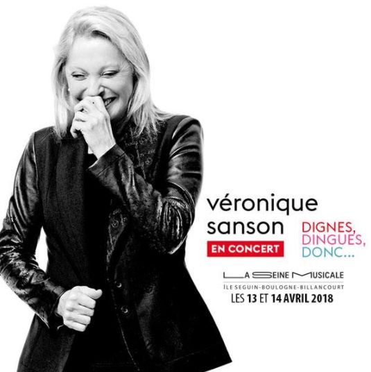 leçonN1 - Concerts et spectacles à la Seine Musicale de l'île Seguin - Page 9 Clipbo39