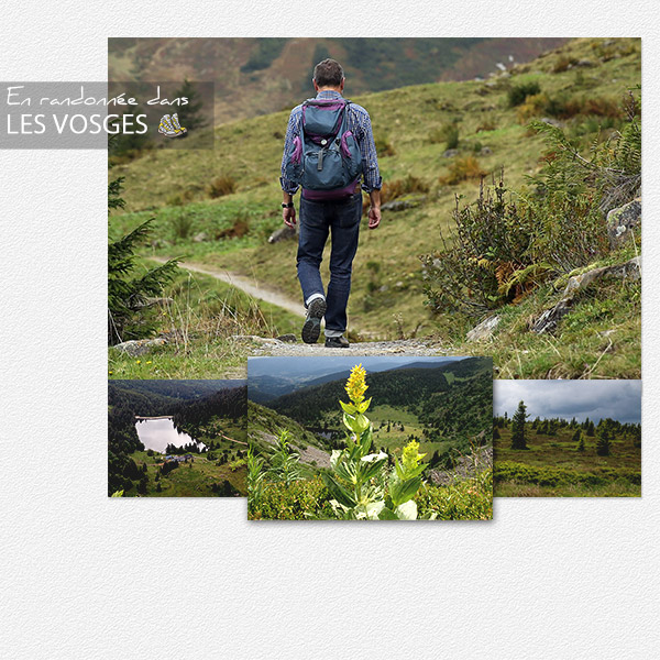 Chall visiteurs début sept 17 - Page 3 Vosges10