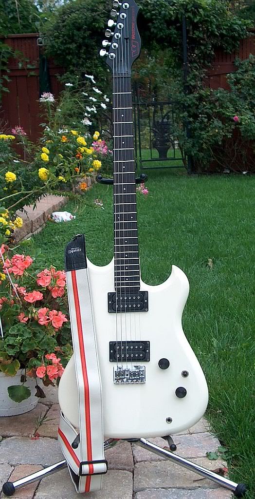 Straps on the forums! Hpim1710