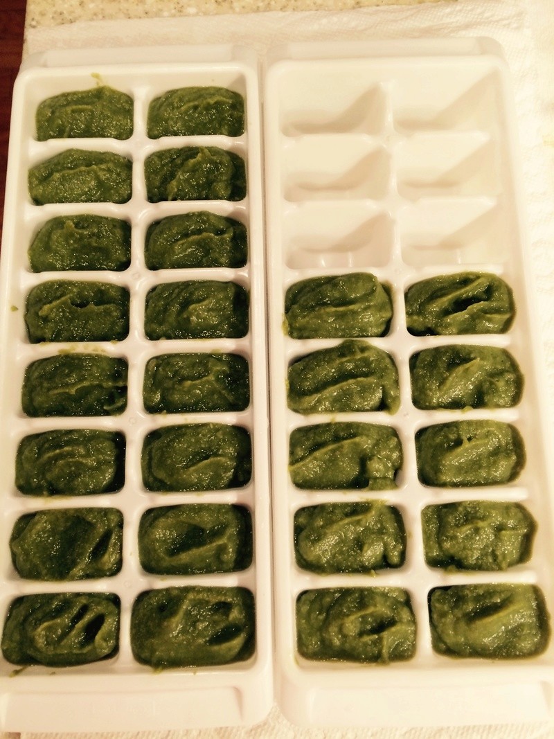 Baby Food Baby_f15