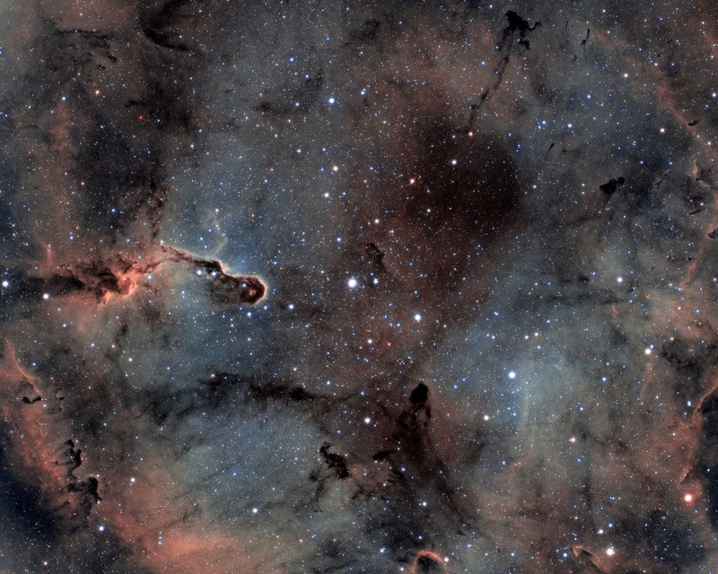 La trompe d'éléphant (IC 1396) Ic139610