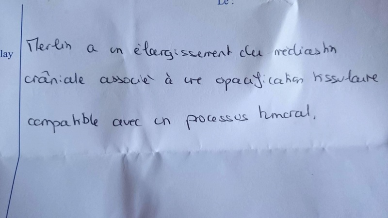 Nouvelles de l'association :  COEUR DE CHIEN LIBRE - Page 11 22047510