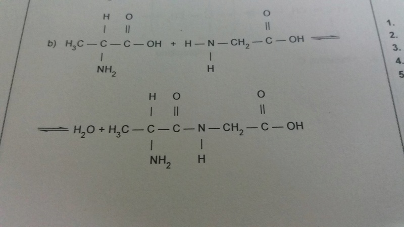 Reação entre dois aminoácidos Amin10