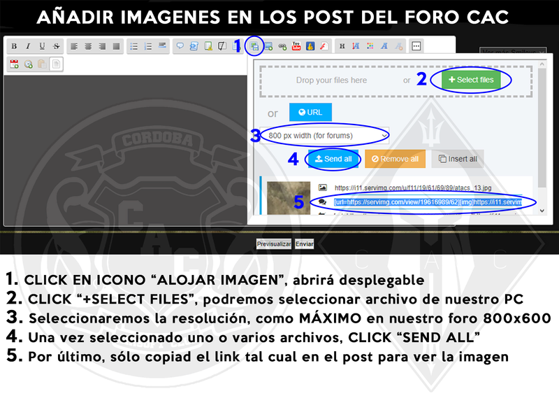 LEER ANTES DE PUBLICAR "NORMATIVA COMPRA/VENTA FORO CAC" Tuto_a11