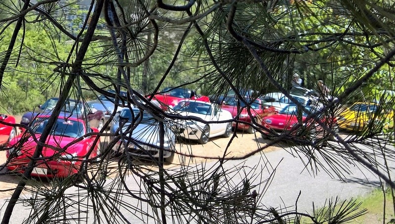 CALENDARIO 2018 MIATA! - Página 4 4511