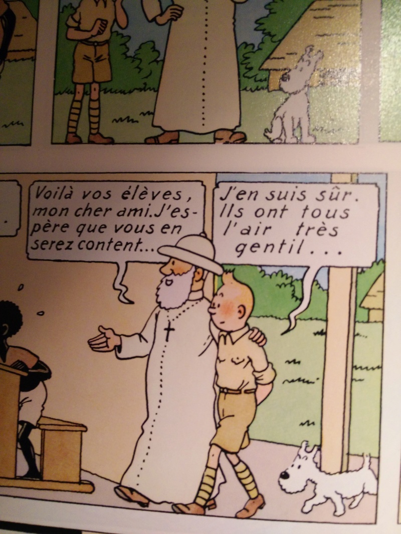 La grande histoire des aventures de Tintin. - Page 37 Img_2010