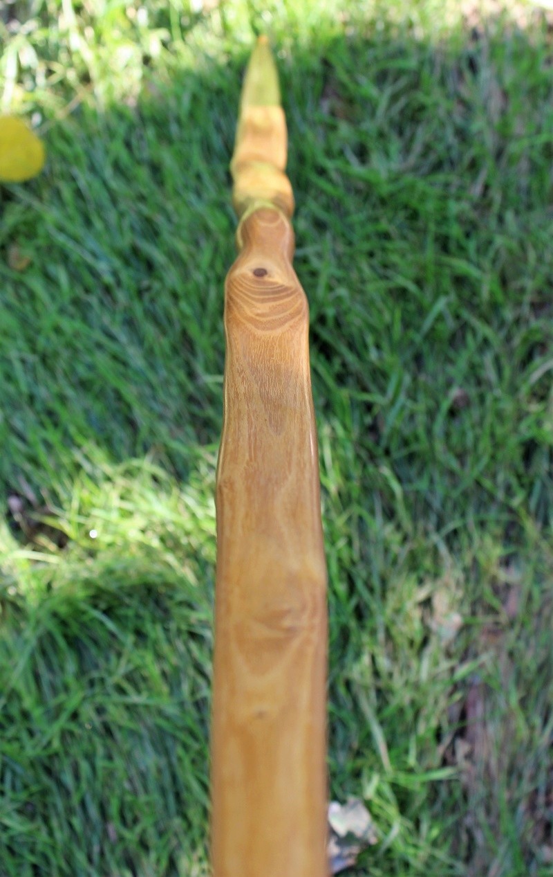 Flatbow robinia. Curso David Antolín. Img_3332