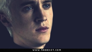 [The Hunters] | رحلة الاستيلاء - I'm not too unintelligent | تقرير Tom Felton R410