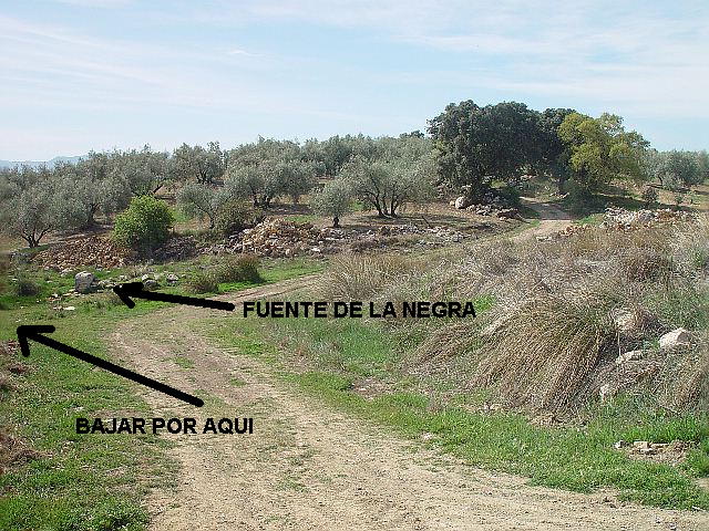 Cuarzo Ahumado - Morion, Arroyo de la Negra, Archidona Lanegr13