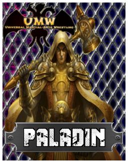 Paladin Interview Paladi11