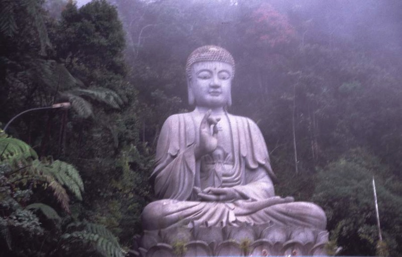 10 Главных уроков жизни Будды Deaa10
