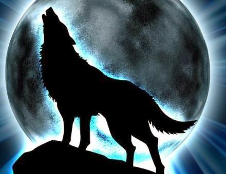 REMEMBER No 5: "LUNA DE OTOÑO" Lobo-e11