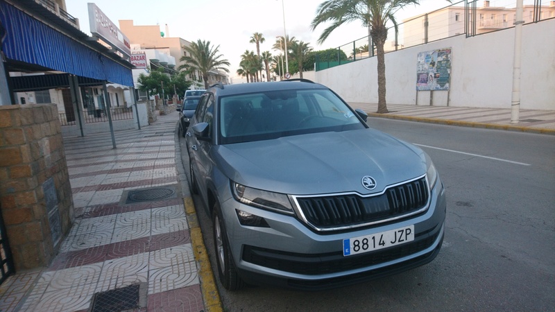 El primer Kodiaq que veo en vivo Dsc_0010