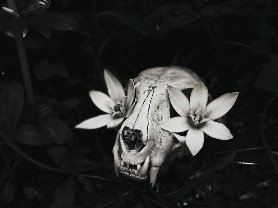 Open - Will the sun ever shine again? Tumblr10
