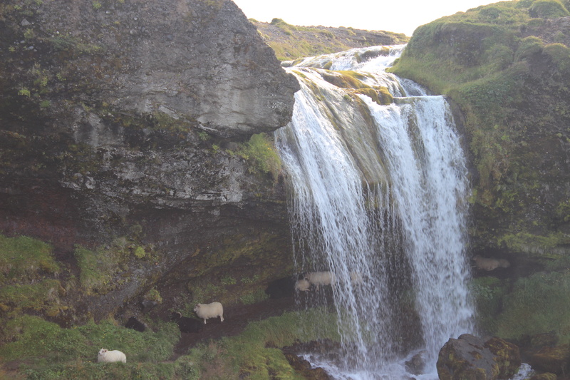 Islandia, una ruta de una semana por la isla - Página 2 Img_8310