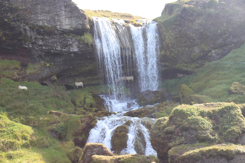 Islandia, una ruta de una semana por la isla - Página 2 Img_8311