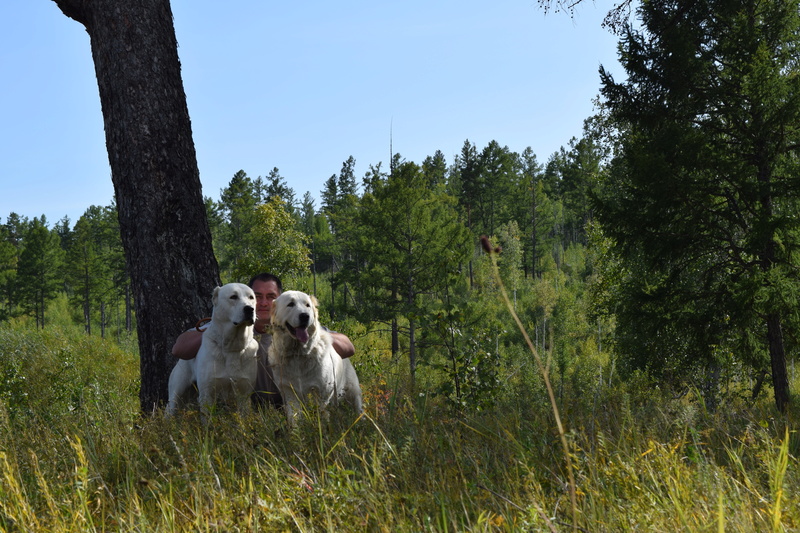 Шер Гиз в Забайкалье - Страница 9 Dsc_0115