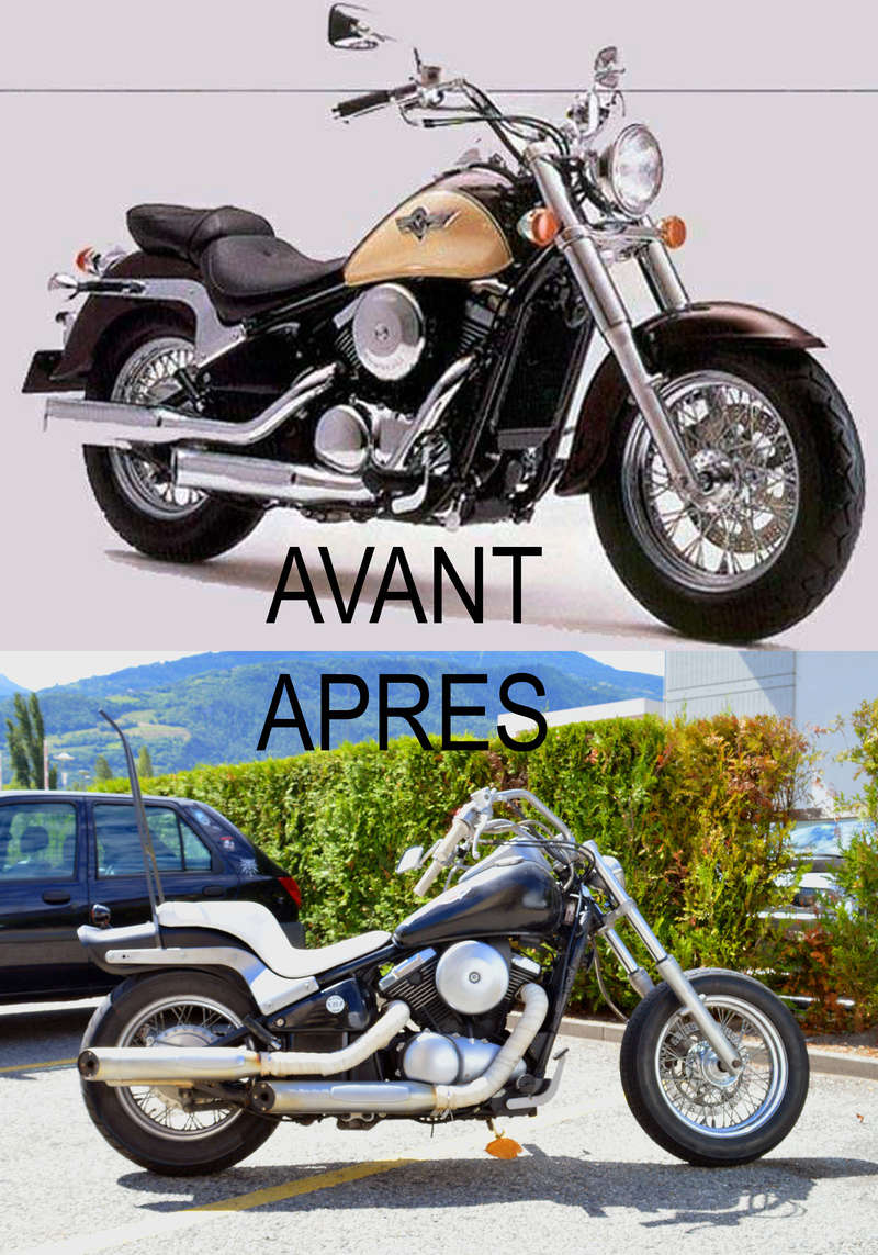 800 VN - bobber/chopper cheap way Av-ap10