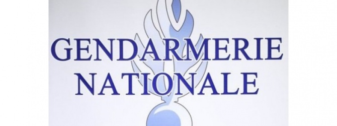 Gendarmerie National Logo_g10