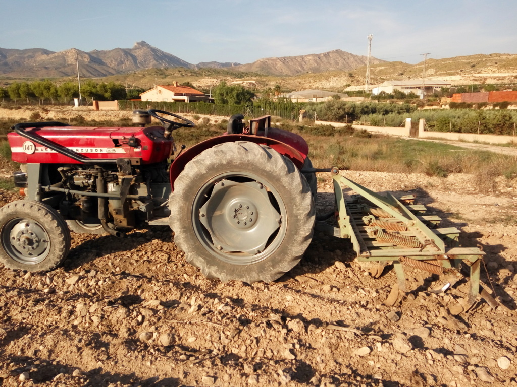 Alzhie - Massey Ferguson 147. Lavado de cara, Electricidad, alguna foto y algún vídeo.  Img_2014