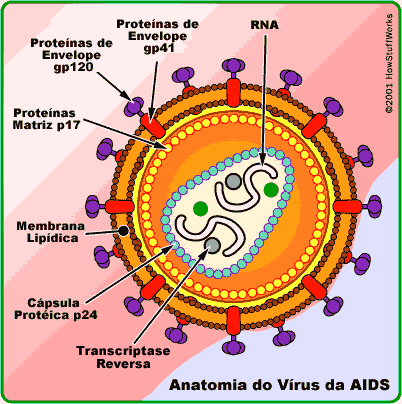 Átomos nunca vistos Aids-h11