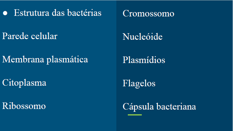 Slides da aula sobre vírus e bactérias Slide_17