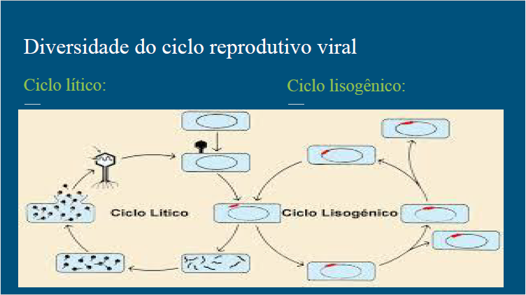 Slides da aula sobre vírus e bactérias Slide_23