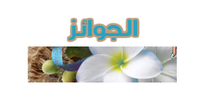 رحلة الى شاطئ البحر || مع الملكات 710