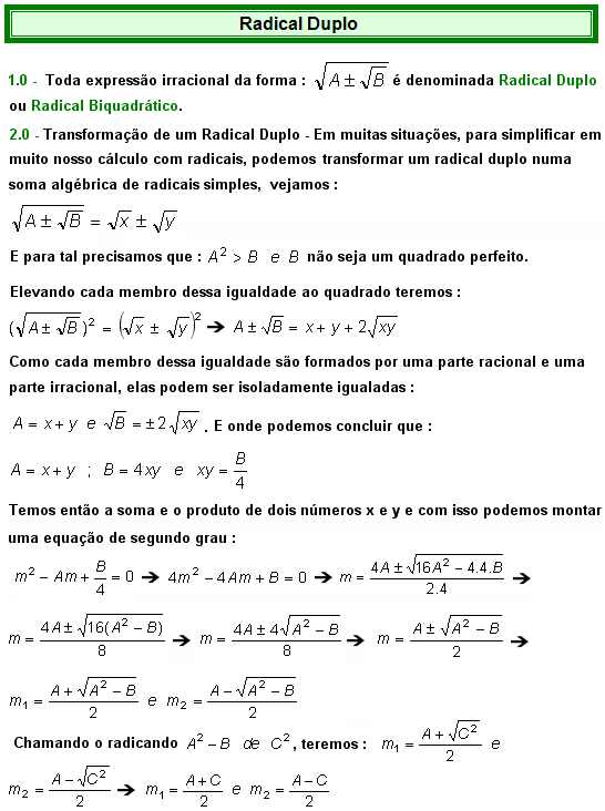 RADICAL DUPLO Radica11