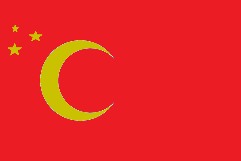 [x] République Populaire du Turkestan Xinjia11
