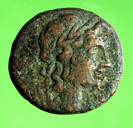 Bronze de Sicile pour la ville de Catane ... Nc_57810