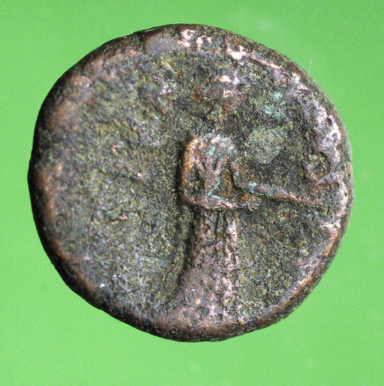 Bronze de Sicile pour la ville de Catane ... Nc_57811