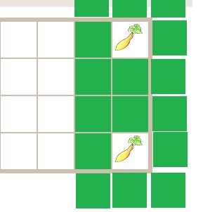 Just Completed my Garden.....What Should I Plant NOW! Squash10