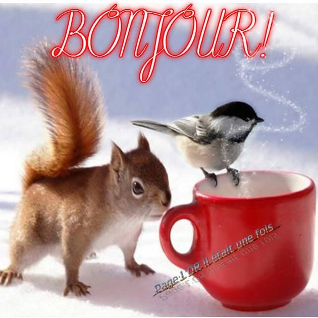 Bonjours & Bonsoirs MAI 2018 Bd925b10