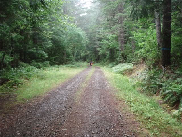 Olmpic Mtns. Trip 07' 07olym60