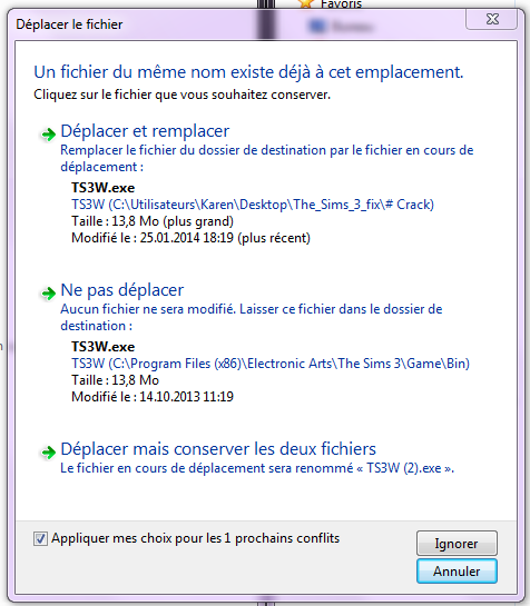 Sims 3 Launcher and Game crashing. A10