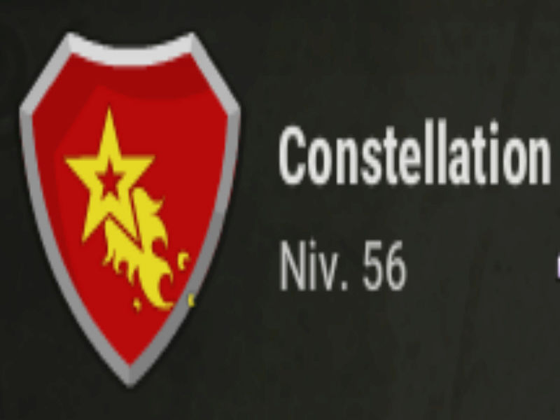Candidature de la guilde Constellation. Candid11