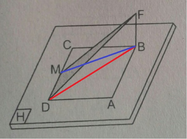 Calcular a área Fyrum10